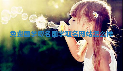 免费国学取名_国学取名网站怎么样