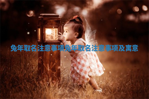 兔年取名注意事项_兔年取名注意事项及寓意