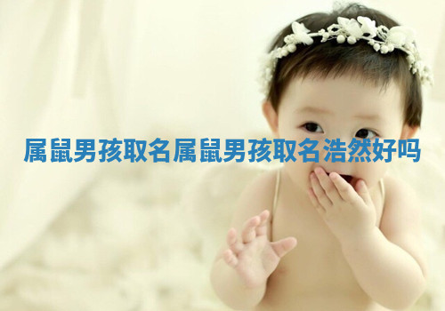 属鼠男孩取名_属鼠男孩取名浩然好吗