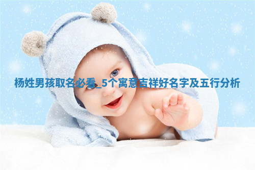 杨姓寓意吉祥的男孩名字