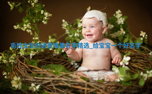 毛姓诗意唯美的女生名字