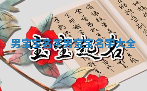 男宝宝名字_男宝宝名字大全